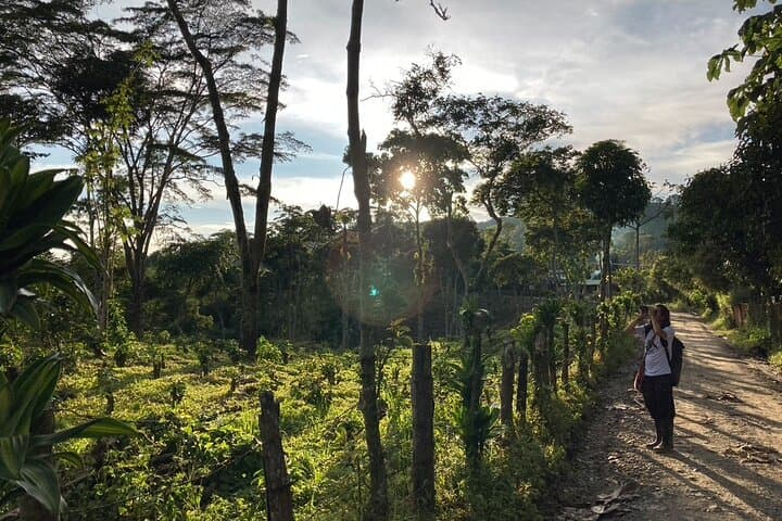Birdwatching and Coffee Tour in Salento — Vereda Palestina Hike & Coffee Tasting