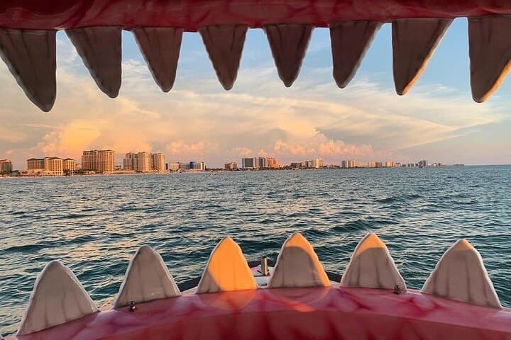 Mega Bite Dolphin Tour: High-Energy Clearwater Beach Dolphin Cruise photo 2