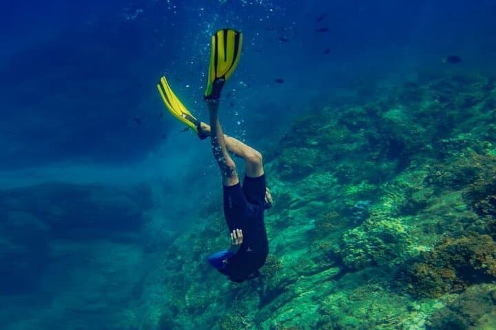 Day Trip to Caño Island from Drake Bay — Snorkel Costa Rica’s Marine Reserve