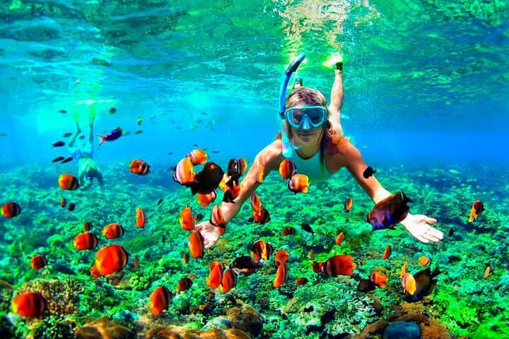 Day Trip to Caño Island from Drake Bay — Snorkel Costa Rica’s Marine Reserve photo 3