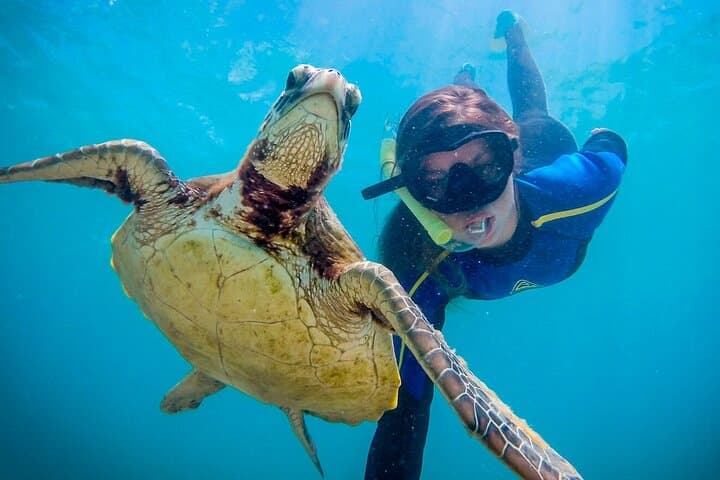 Day Trip to Caño Island from Drake Bay — Snorkel Costa Rica’s Marine Reserve photo 4