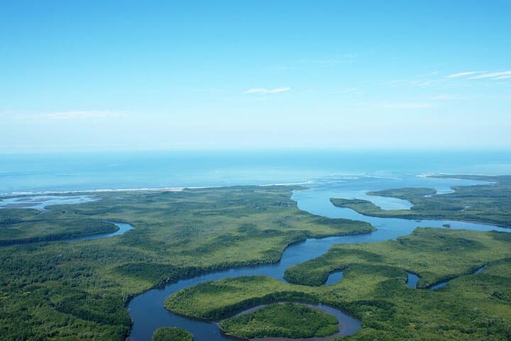 Terraba-Sierpe Mangrove Boat Tour from Sierpe: Wildlife, Archaeology & Tidal Channels