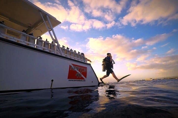 Oahu Night Dive — Certified 2-Tank Twilight & Night Scuba Charter photo 2