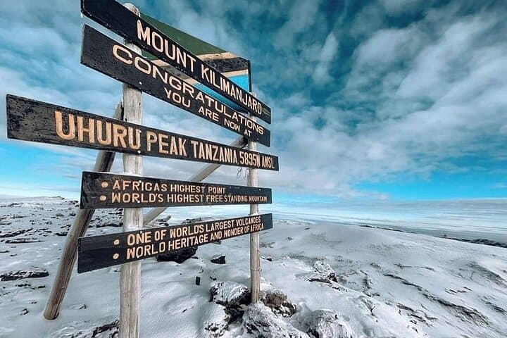 Climbing Kilimanjaro: 9-Day Northern Circuit Route Guide