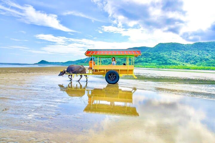 Iriomote Mangrove SUP & Canoe Tour on Yubujima Island — Day Trip from Ishigaki photo 4
