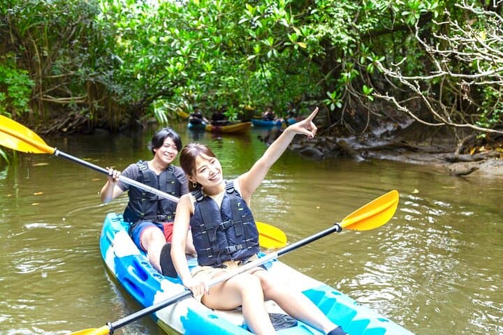 Iriomote Mangrove SUP, Canoe & Splash Canyoning Day Tour from Ishigaki photo 5