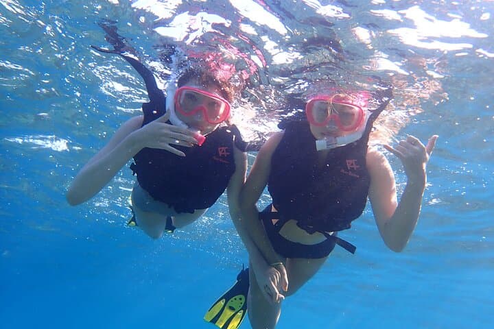 Iriomote Island Mangrove SUP, Canoe & Snorkel Day Tour from Ishigaki photo 6