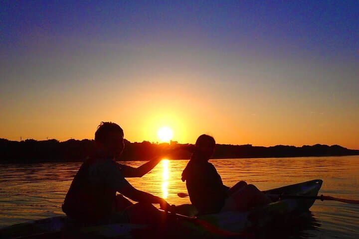 Iriomote Sunrise SUP & Canoe Tour — Paddle the Mangrove Rivers of Okinawa