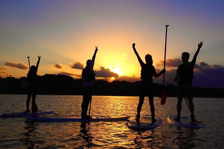 Iriomote Sunrise SUP & Canoe Tour — Paddle the Mangrove Rivers of Okinawa photo 2