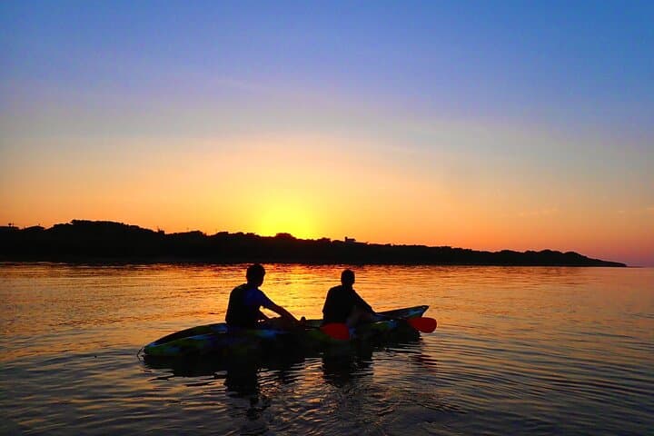 Iriomote Sunrise SUP & Canoe Tour — Paddle the Mangrove Rivers of Okinawa photo 3