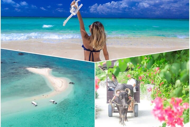 Phantom Island Snorkel & Taketomi Island Day Trip from Ishigaki