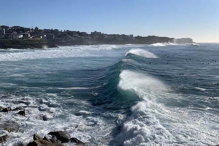 Bondi Beach Cryptic Clues Walk: Icebergs to Bondi Streets Adventure photo 4