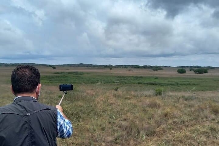 Maputo Special Reserve Day Safari: Bush-to-Beach Wildlife Drive from Maputo photo 4