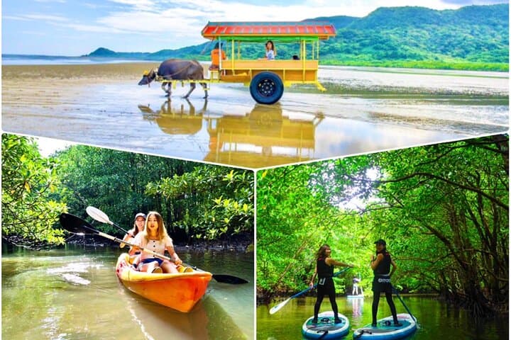 Iriomote Mangrove SUP & Canoe Tour on Yubujima Island — Day Trip from Ishigaki