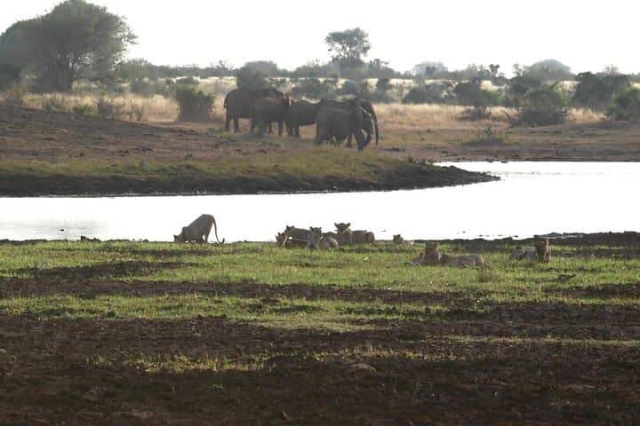5-Day Mid-Range Safari: Tsavo East, Tsavo West & Amboseli National Parks