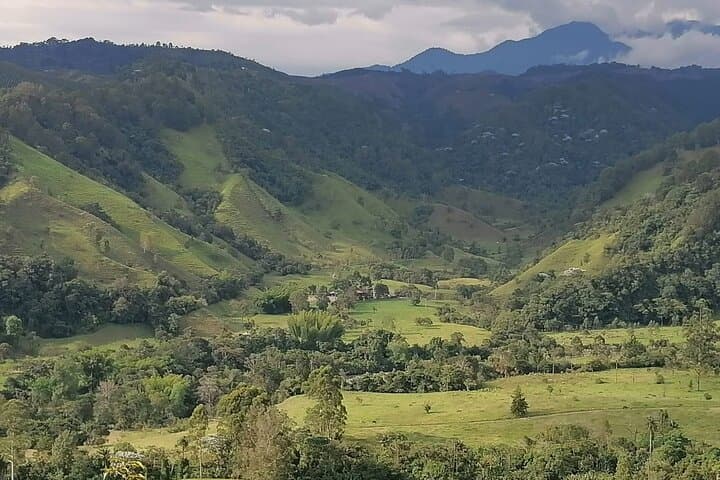 Santa Rita Endemic Birds Tour — Cloud-Forest Birding near Salento photo 5
