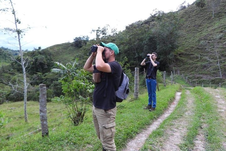 Santa Rita Endemic Birds Tour — Cloud-Forest Birding near Salento photo 6