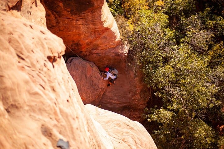 Half-Day Rock Climbing Near Zion: Guided Sandstone Climbs for Beginners & Intermediates photo 5