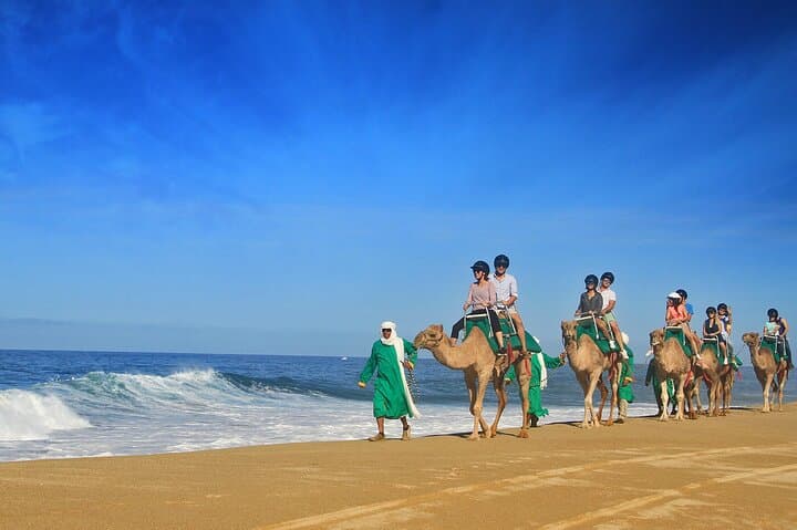 Camel Ride on the Beach in Los Cabos — Pacific Coast Eco‑Tour photo 5