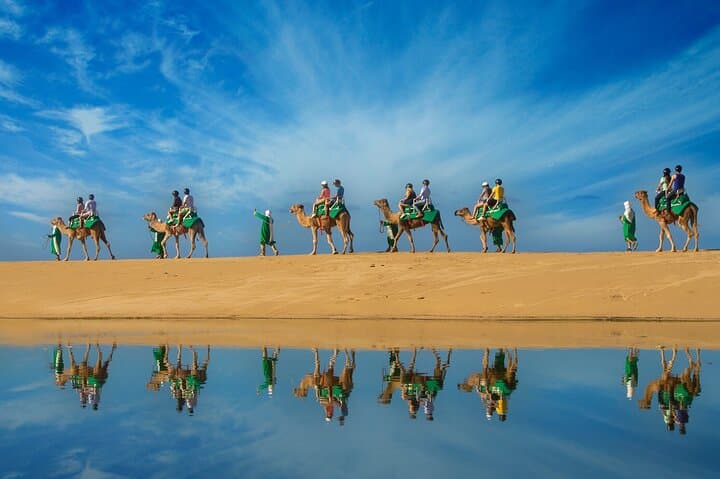 Camel Ride on the Beach in Los Cabos — Pacific Coast Eco‑Tour photo 3