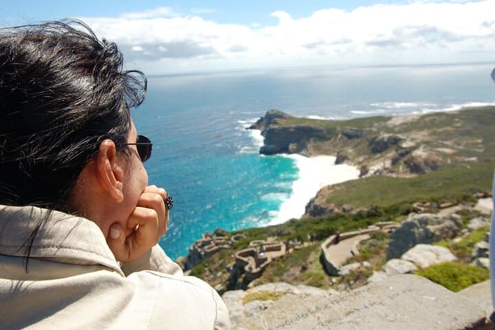 Private Cape of Good Hope & Penguins Tour — Cape Town Luxury Day Trip