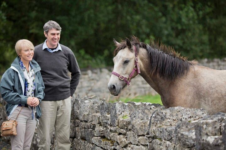 Galway Private Driver Service: Custom Day Trips to Connemara, Aran Islands & Coast photo 6
