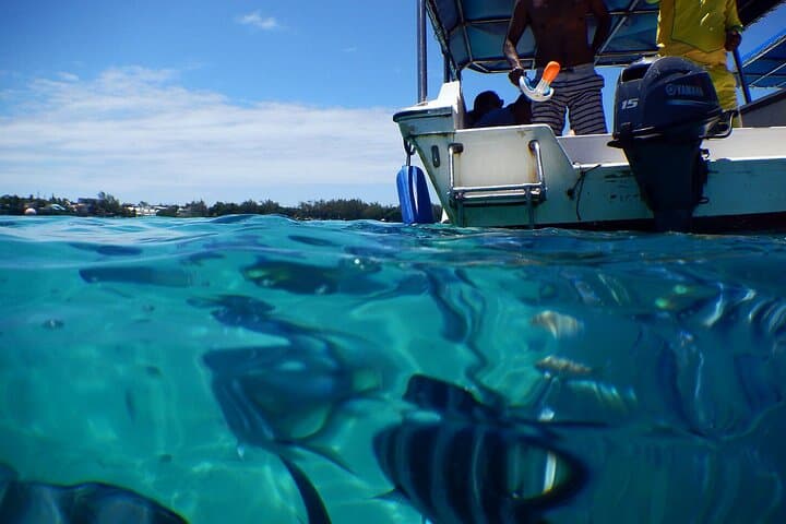 Blue Bay & Mahebourg: Full-Day East Mauritius Snorkel, History & Market Tour photo 4