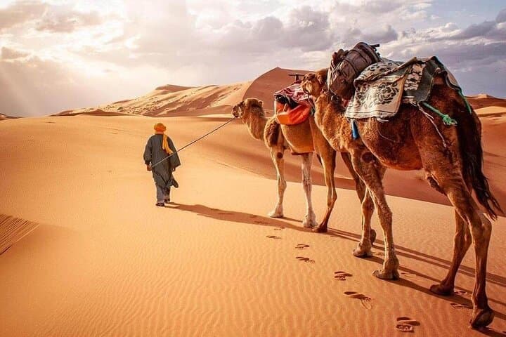 Three-Day Merzouga Sahara Tour: Camel Rides, Dunes & Kasbahs from Marrakech photo 6
