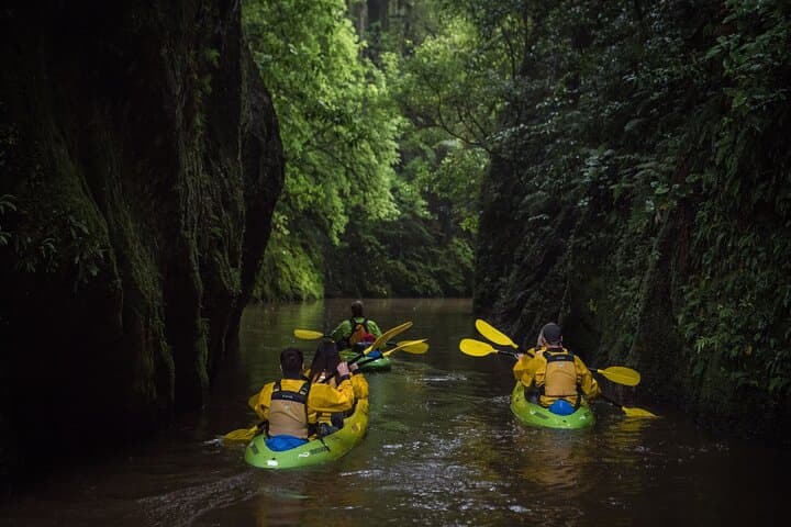 Twilight Glowworm Kayak Tour on Lake Karapiro: Paddle Through a Living Nightlight photo 5