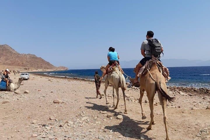 Private Full-Day Snorkeling and Camel Ride in Dahab from Sharm El Sheikh photo 2
