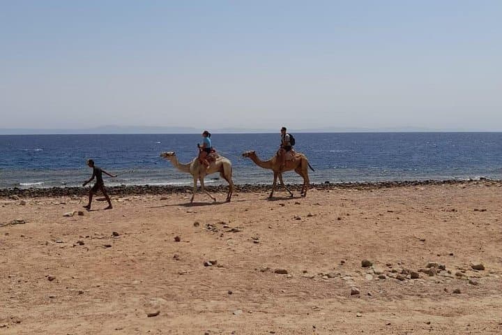 Private Full-Day Snorkeling and Camel Ride in Dahab from Sharm El Sheikh photo 4