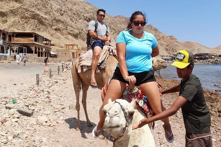 Private Full-Day Snorkeling and Camel Ride in Dahab from Sharm El Sheikh photo 5