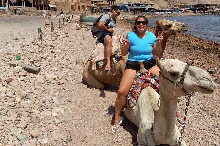 Private Full-Day Snorkeling and Camel Ride in Dahab from Sharm El Sheikh