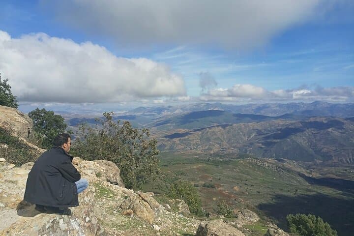 Day Trip to the Middle Atlas: Azrou Cedars & Barbary Apes from Fes photo 1