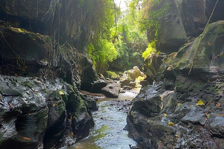 Hidden Canyon Beji River Trek: Private River Trekking with Hotel Pickup in Bali photo 6