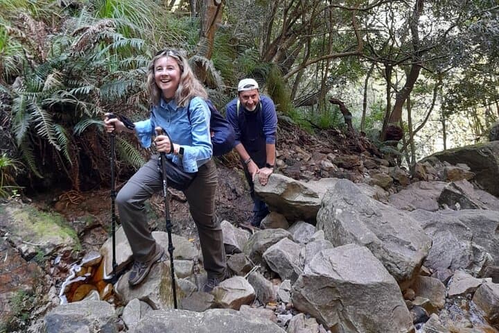 table-mountain-hike-all-routes-private-tour-cape-town photo 3