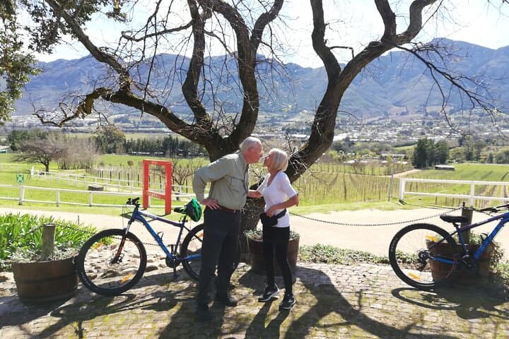 Franschhoek Sip & Cycle: Full-Day Private Wine and Vineyard Bike Tour photo 3
