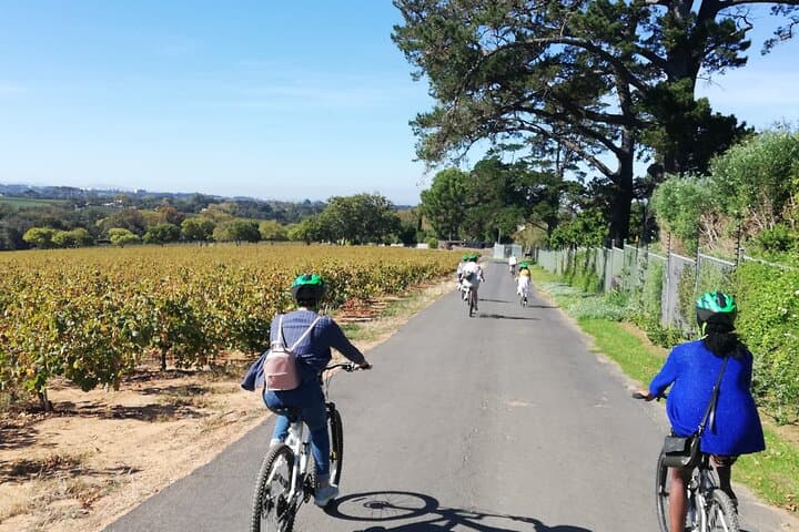 Constantia Hidden Gem Cycle: Half-Day Wine Tasting & Bike Tour photo 3