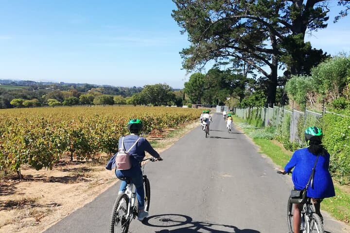 Constantia Hidden Gem Cycle: Full-Day Private Wine & Bike Tour photo 2