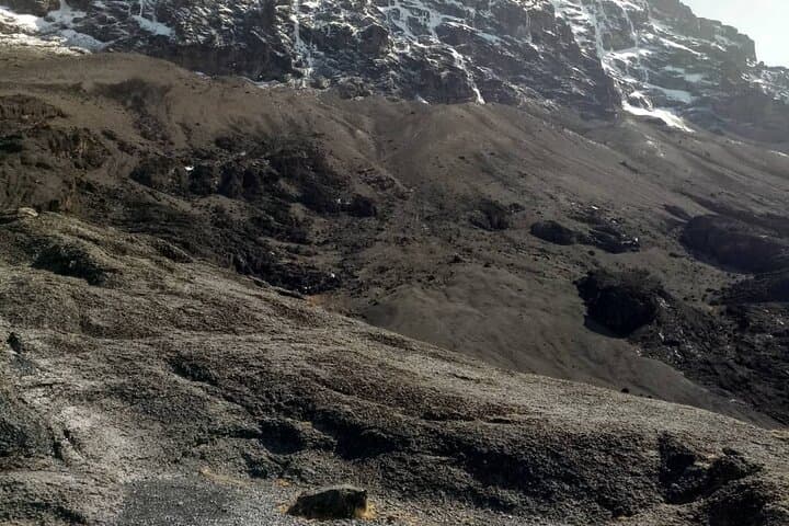 Lemosho Route Kilimanjaro: 7-Day Small-Group Climb from Arusha to Uhuru Peak photo 3
