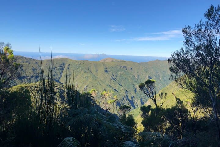 Vereda Fanal PR13 — Private Guided Walk on Paul da Serra, Madeira photo 3