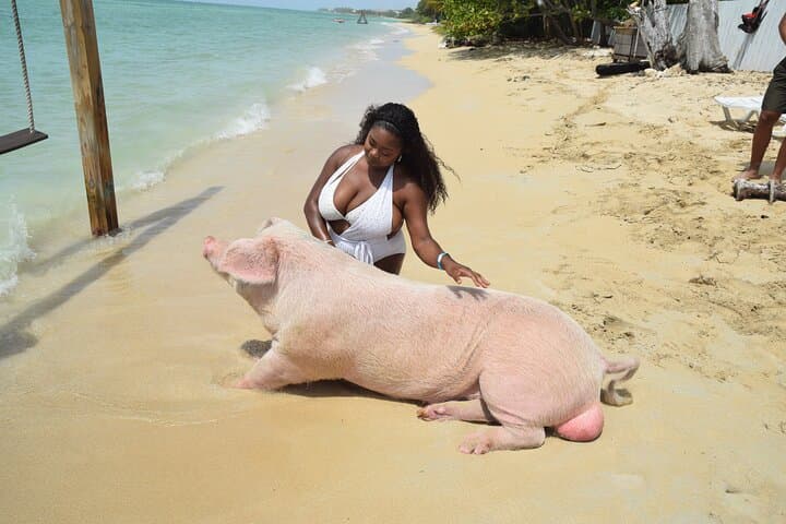 Swimming with the Pigs: Rose Island Boat Trip from Nassau photo 3