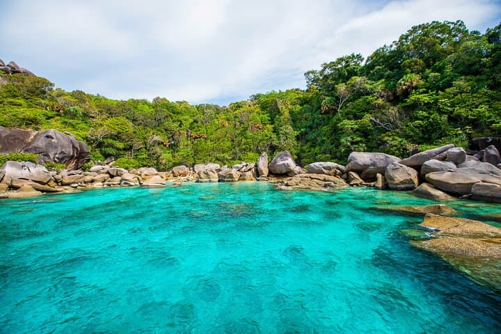 Similan Islands Snorkeling Day Trip from Khao Lak: Speedboat to Pristine Reefs photo 4