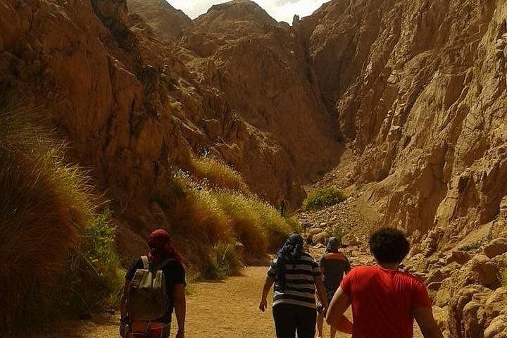 Full-Day Dahab Adventure: Snorkel, Camel Ride & Quad Bike from Sharm El Sheikh photo 3