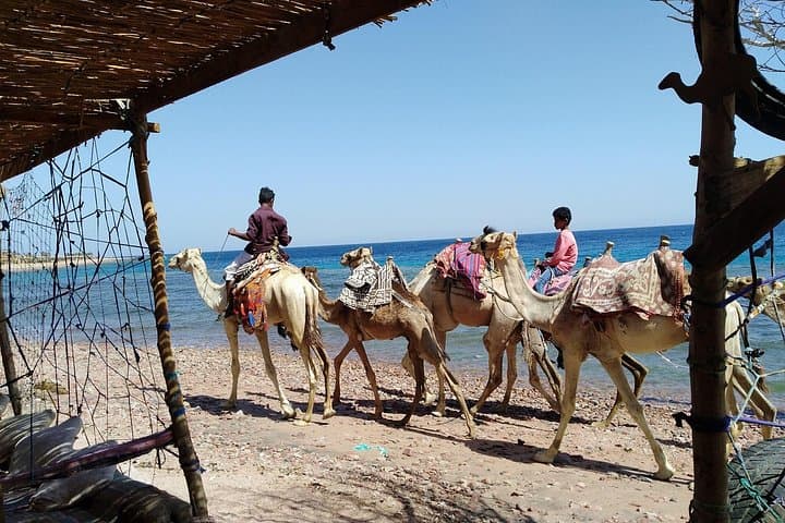 Full-Day Dahab Adventure: Snorkel, Camel Ride & Quad Bike from Sharm El Sheikh photo 1