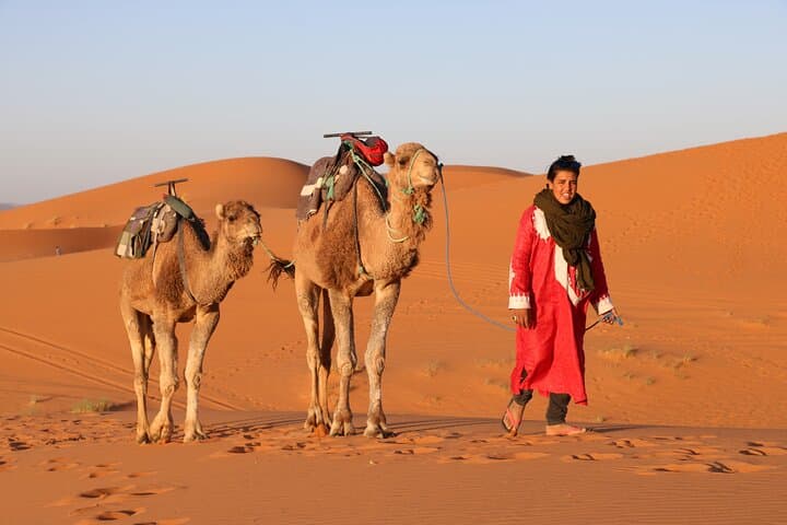 Two-Day Private Desert Tour from Marrakech to Draa Valley and Zagora photo 2