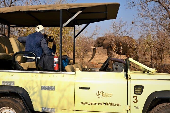 Zambezi National Park Game Drive from Victoria Falls — Riverfront Wildlife Safari photo 4