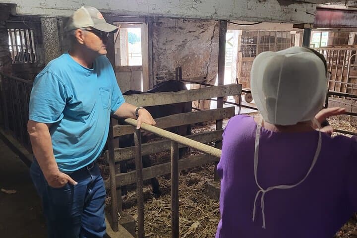 Unique Amish Immersion in Lancaster: Private Farm Visits, Creamery & Cultural Tour photo 3