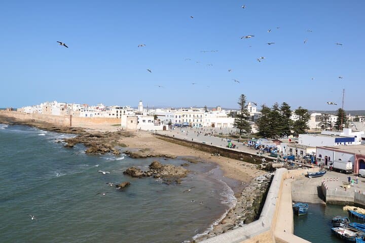 Essaouira Day Trip from Marrakech — Medina, Beaches & Argan Co‑op photo 2