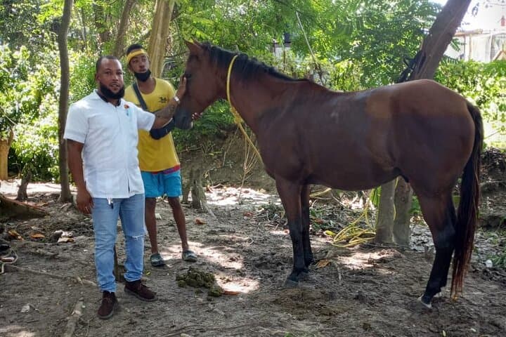 Martha Brae Bamboo Rafting and Ocho Rios Horseback Ride — Private 2-in-1 Day Trip from Montego Bay photo 4